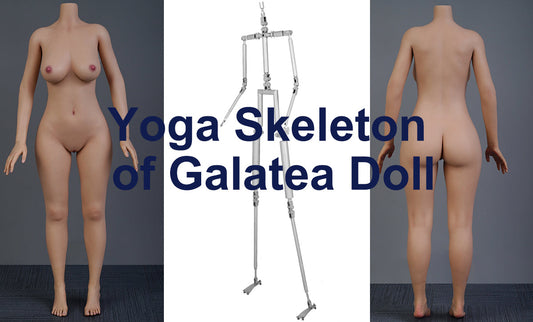 What Is the Yoga Skeleton of Real Doll from Galatea Doll? | Advanced Silicone Sex Doll Flexibility