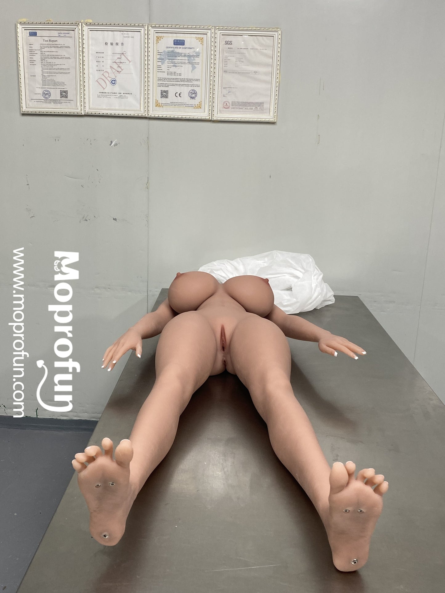 AIBEI Doll | 153cm 5ft Ultra Soft Gel-filled Big Breast Lifelike Korean Curvey TPE Sex Doll - Alex