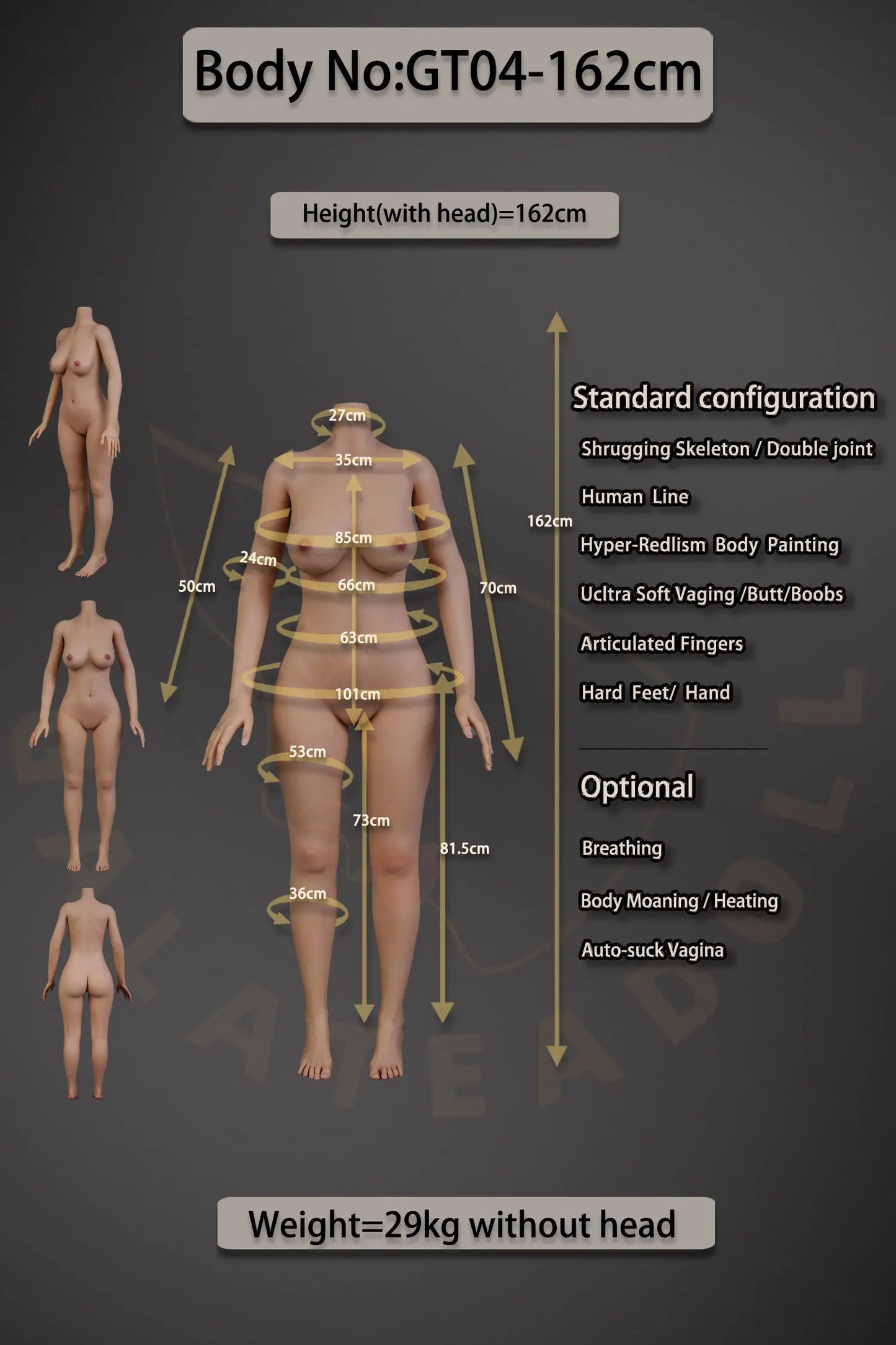 Galatea Doll | 162cm 5ft4in Lifelike Sexy Korean Woman Full Silicone Doll (Real Oral Silicone Head+ Silicone Body) for Making Love - Sue